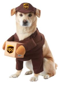 halloween costume ups delivery Dog