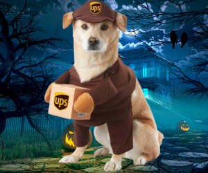 ups dog halloween costume at totalpaws.com