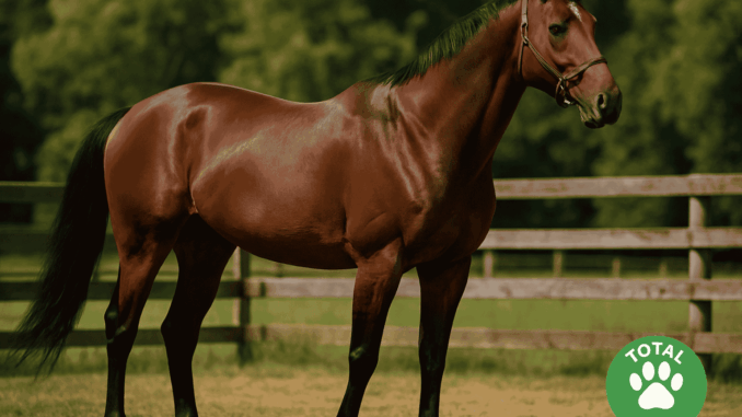 The Thoroughbred Horse with logo thoroughbred horse